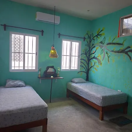 casa nido